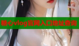糖心vlog官网入口地址查询