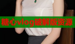 糖心vlog破解版资源