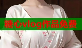 糖心vlog作品免费