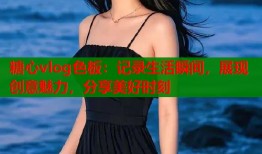 糖心vlog色板：记录生活瞬间，展现创意魅力，分享美好时刻