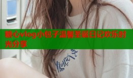 糖心vlog小包子温馨圣诞日记欢乐时光分享