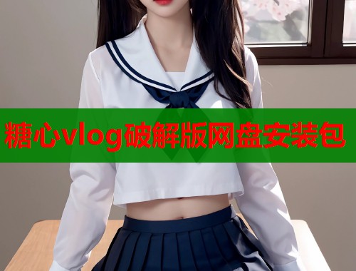 糖心vlog破解版网盘安装包