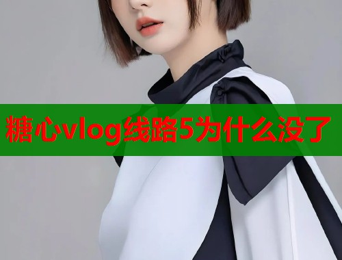 糖心vlog线路5为什么没了