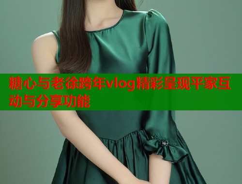 糖心与老徐跨年vlog精彩呈现平家互动与分享功能